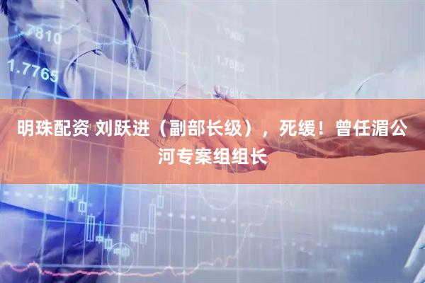 明珠配资 刘跃进（副部长级），死缓！曾任湄公河专案组组长