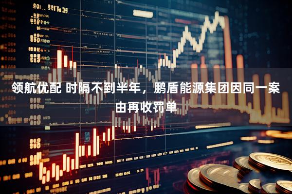 领航优配 时隔不到半年，鹏盾能源集团因同一案由再收罚单