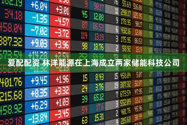 爱配配资 林洋能源在上海成立两家储能科技公司