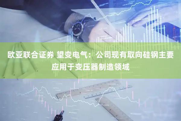 欧亚联合证券 望变电气：公司现有取向硅钢主要应用于变压器制造领域