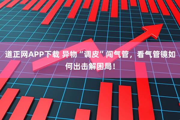 道正网APP下载 异物“调皮”闯气管，看气管镜如何出击解困局！