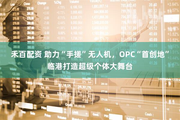 禾百配资 助力“手搓”无人机，OPC“首创地”临港打造超级个体大舞台